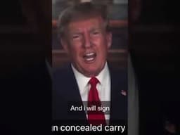 Country Wide Concealed Carry Trump #tactical #tactics #pistolonly #concealedcarrynation