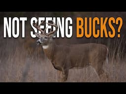 Five Reasons Why You're Not Seeing Bucks