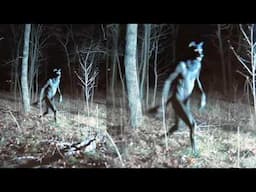 7 The Scariest Videos Of DEMONIC ENTITIES That Will Terrify You | Scary Comp V.133