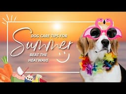 Summer Dog Care Tips: Beat the Heatwave!| Safe Fruits & Veggies for Your Pup #dog