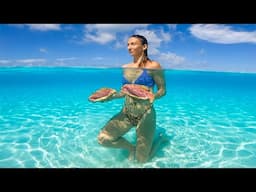 Ocean SENSORY: Dive, Catch and Cook 🏝️ (Bahamas)