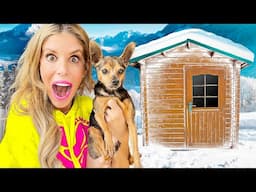 Surprising Our Dog With a Log Cabin