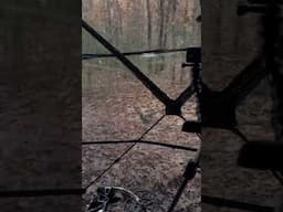 👀 through blind #hunting #deerhunting #bowhunting