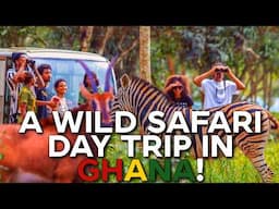 THE ULTIMATE "AFRICAN SAFARI" EXPERIENCE IN GHANA !