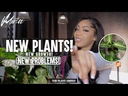 PLANT SHOPPING + SHOCKING HAUL • ATTEMPTING TO GROW NEW HOUSEPLANT SPECIES