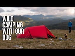 Summit Wild Camp with Our Dog | Scottish Highlands | Hilleberg Anjan 3