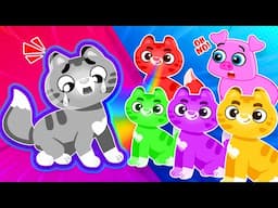 Animals Lost Their Colours Song | Funny Kids Songs 😻🐶🐷 And Nursery Rhymes By Comy Zomy