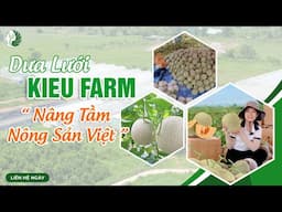 Dưa Lưới Kieu Farm - Nâng Tầm Nông Sản Việt