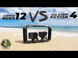 DJI Osmo Action 4 vs GoPro Hero 12: Diving Camera Comparison