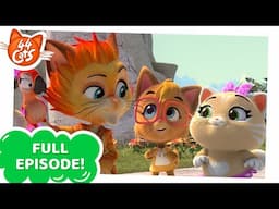 44 Cats | FULL EPISODE | Wild and brave | Season 2 Episode 34