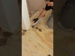 How to Fix Uneven Subfloors - #shorts #homerepairtutor