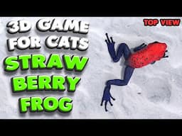 3D game for cats |  The strawberry poison frog (top view) | 4K, 60 fps, stereo sound