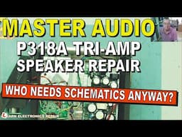 Master Audio P318A Tri-Amp Class D +Active Class AB Speaker Repair