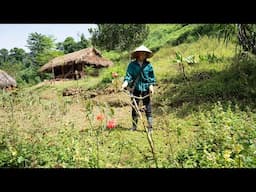 Daily Work on the Farm, Gardening, Harvesting, Cooking: Mountain Life | EP.97