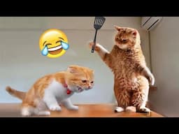 Funniest Animals 😄 New Funny Cats and Dogs Videos 😹🐶 - Part 24