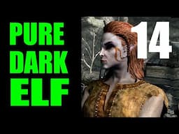 Skyrim PURE DARK ELF Challenge Run Walkthrough Part 14: Aspect of Terror + GLASS CANNON FIELD TEST