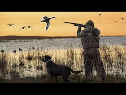 7 MAN LIMIT | DUCK HUNTING a SECLUDED FARM POND In NEBRASKA