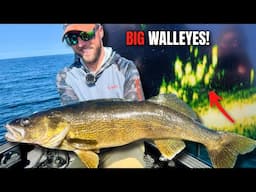 INSANE Walleye Bite on Green Bay!! (Sharp Shooting BIG Schools)