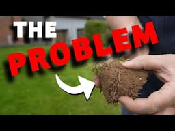 Why you lawn feels SPONGY - Fix it NOW