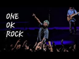 ONE OK ROCK - Mighty long fall (Taka in the crowd) - live @ Zenith Paris