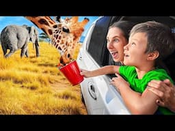 FEEDING WILD and RARE ANIMALS FROM OUR CAR?! 😱🐫