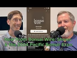 Bonsaify | Bonsai Wire - Get Excited about Bonsai Exhibits, a video version of Bonsai Wire Podcast