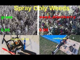 Make a Custom plant classification model - tflite on raspberry pi - DIY AI Sprayer Drone - Part 2