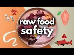 10 Safety Tips When Raw Feeding Your Pet