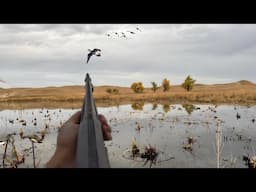 Duck Hunting Trip Day 1: Wigeon Down & Epic Scouting Footage