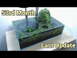 #6 Volcano Filter Tank - 53rd Month (The Day Before Second Reset)