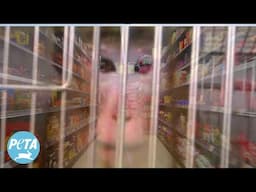 Help Us End Animal Testing in Food & Beverages | Learn How with Eat Without Experiments