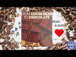 FROM COCOA BEAN TO CHOCOLATE | LEARN WITH BOOKS | STORIES FOR KIDS