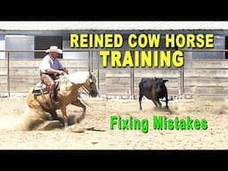 Training To Make A Reined Cow Horse - Horse Training For Both Reining & Cow Work