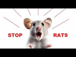 How to get rid of mice -- Very high pitched sound that keeps mice away - RODENT CONTROL