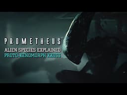 The Proto-Xenomorph (The Deacon) Stage 4 XX033 - Alien Species Explained