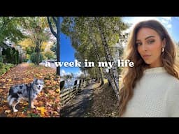 a week in my life