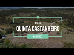 🏡🌳🗝️ Off-grid homestead of 69,000 m2 with habitation - H693 Quinta Castanheiro - RESERVED