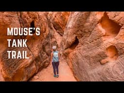 Mouse’s Tank Trail, Best Easy Hike in Valley of Fire State Park | Nevada