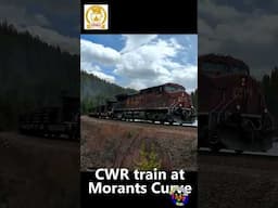 CWR (Continuous Welded Rail) at Morants Curve