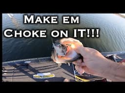 How To Catch Giant Bass on Glide Baits! Catch More Guaranteed!!!