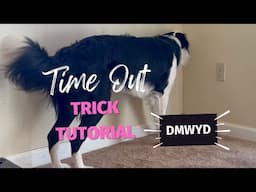 Time Out: Dog Trick Tutorial - DMWYD