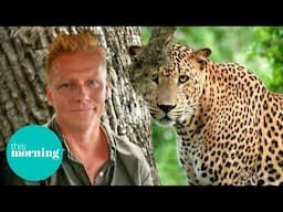 Searching for Sri Lanka’s Majestic Leopards with Dr. Scott | This Morning