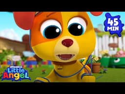 Bingo Is Curious | Little Angel | Songs and Cartoons | Best Videos for Babies