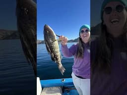 Fishing the Sea of Cortez