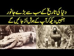 NASA Has Told About The Largest Animals In History | Reality Facts