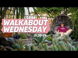 Walkabout Wednesday | November 20th, 2024