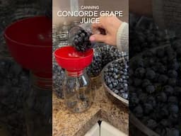 Canning Concord, grape juice