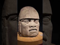 Olmec Colossal Heads #olmec #colossal #head