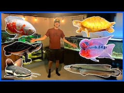 Feeding All My Pets! (Basement Fish Room Tour)