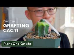 How & Why to GRAFT CACTI — Ep. 398